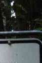 Schild